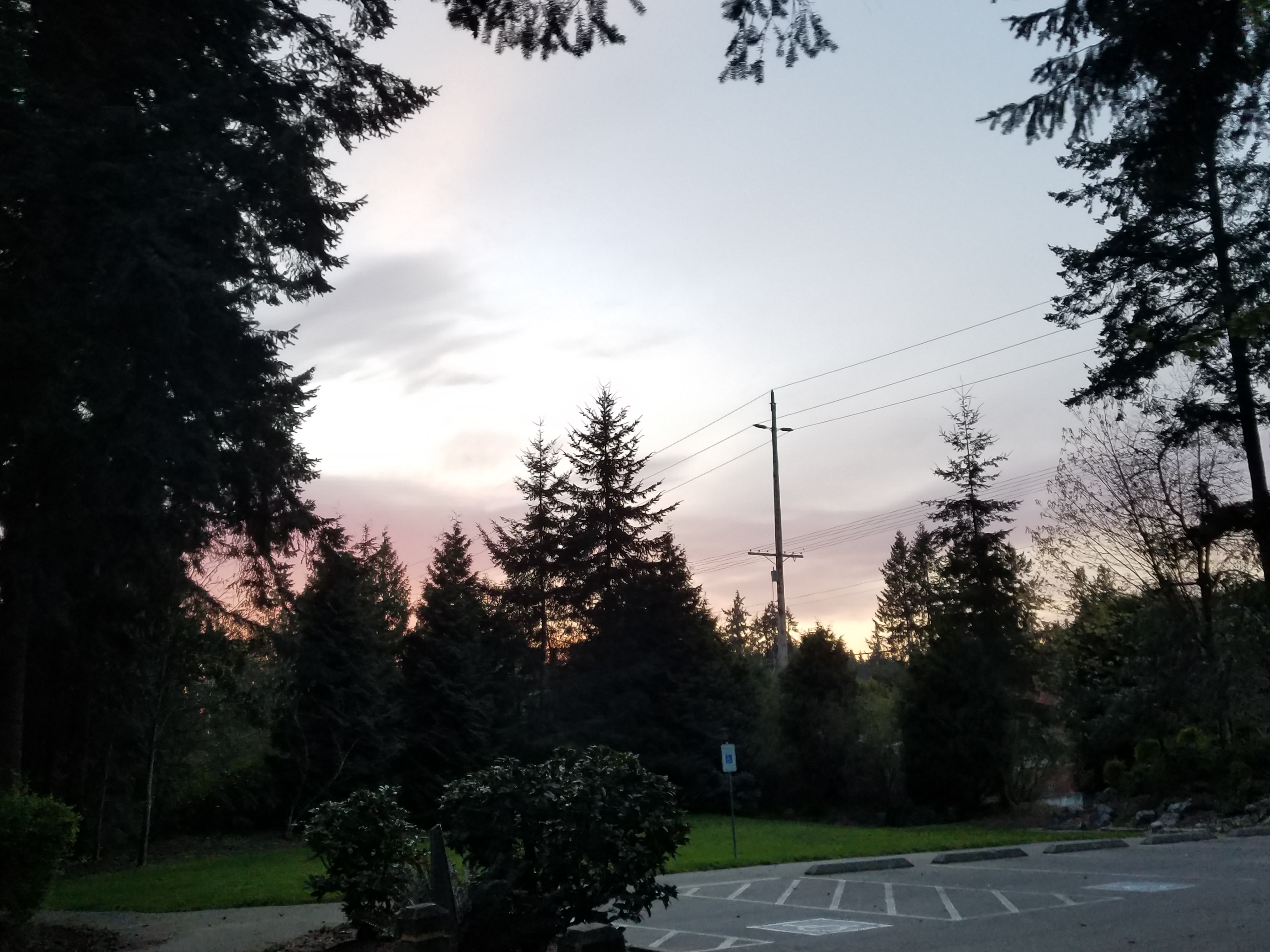 Sunset at Meadowdale park 