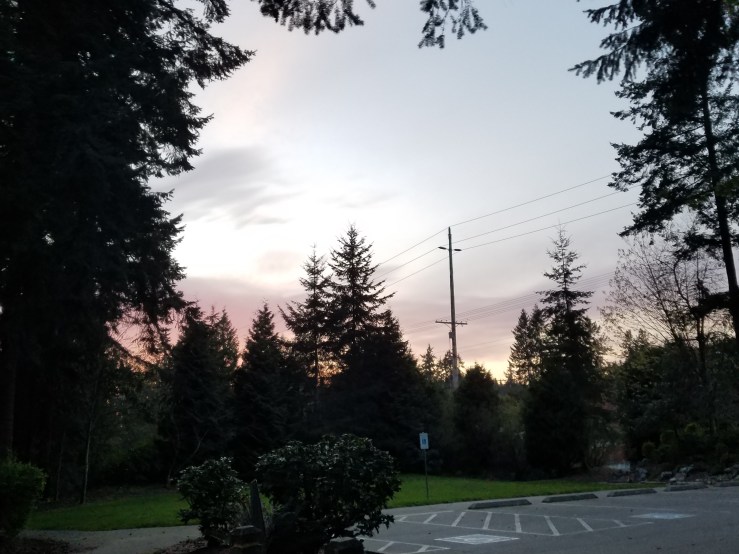 Sunset at Meadowdale park 