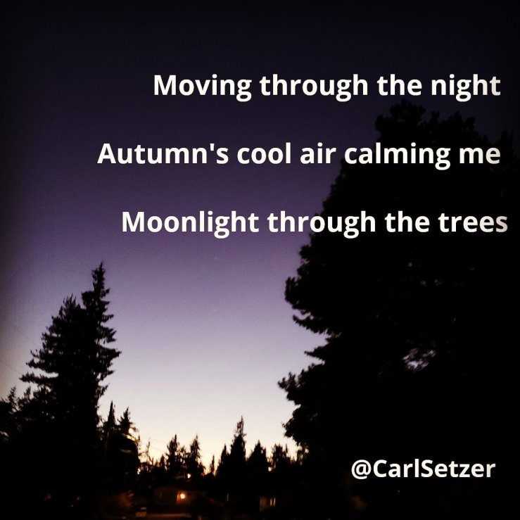 On Tonight's Walk Tonight's Haiku