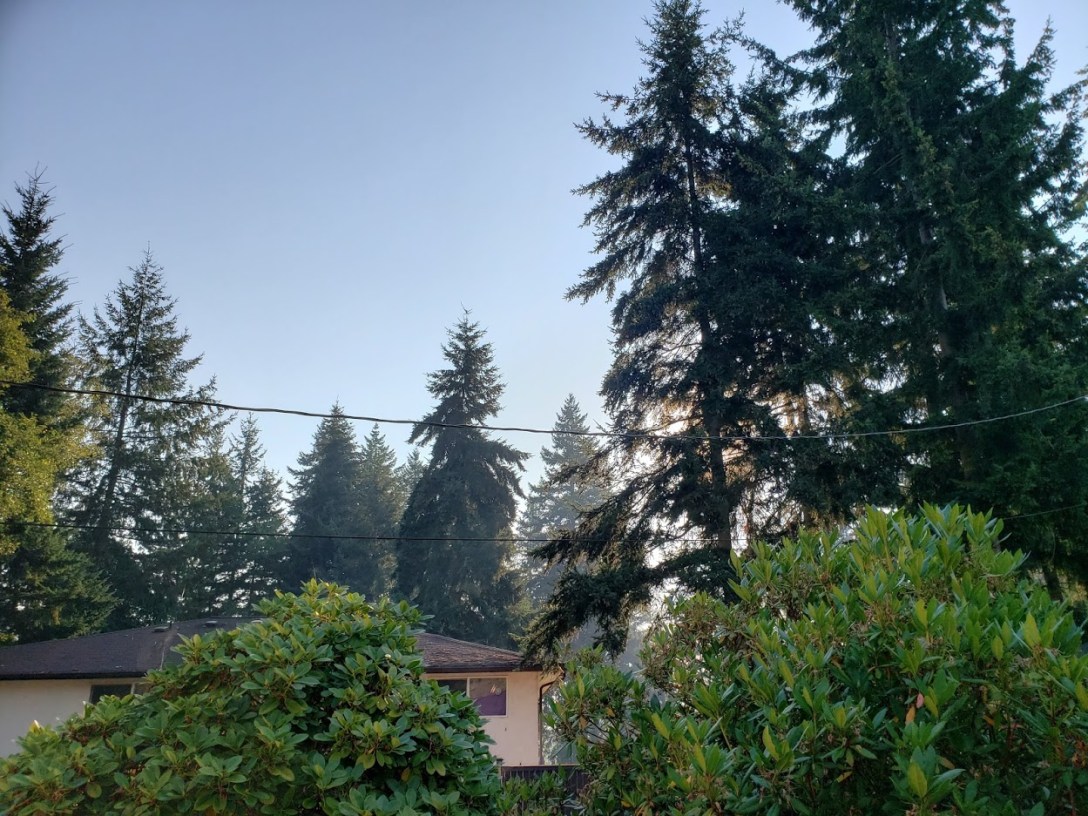 Smoky skies in Seattle, September 8, 2020