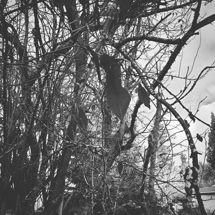 An Autumn Morning Porm