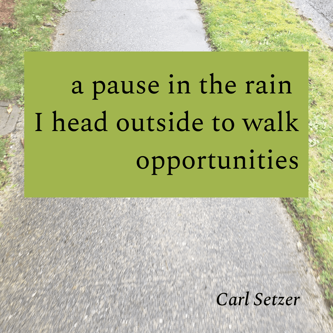 A Haiku - Pause in the Rain